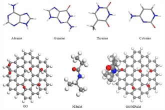 Computational studies on the molecular insights